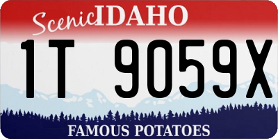ID license plate 1T9059X