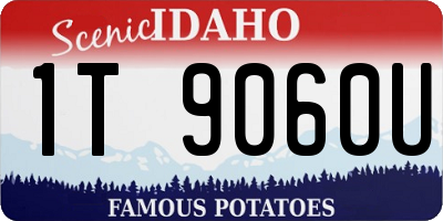 ID license plate 1T9060U