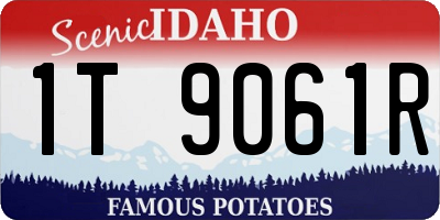 ID license plate 1T9061R