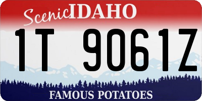 ID license plate 1T9061Z