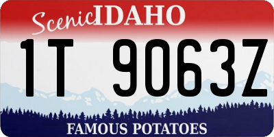 ID license plate 1T9063Z