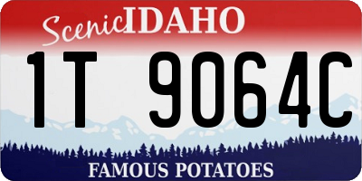 ID license plate 1T9064C