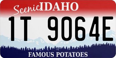 ID license plate 1T9064E