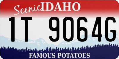 ID license plate 1T9064G