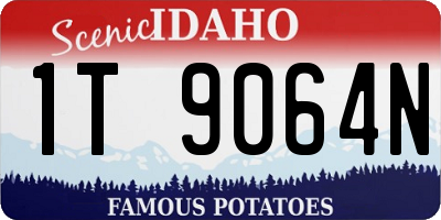 ID license plate 1T9064N