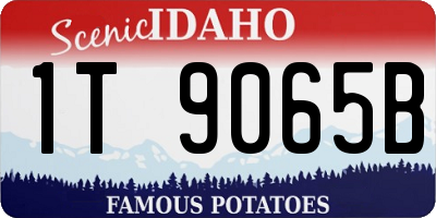 ID license plate 1T9065B