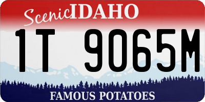 ID license plate 1T9065M
