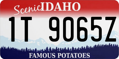 ID license plate 1T9065Z