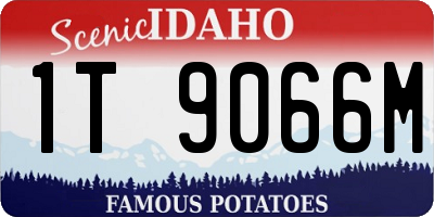 ID license plate 1T9066M