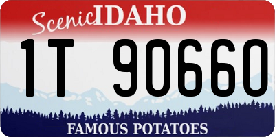 ID license plate 1T9066O