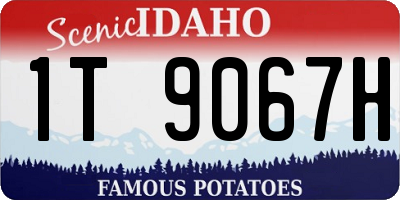 ID license plate 1T9067H