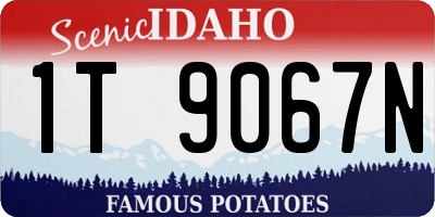 ID license plate 1T9067N