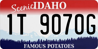 ID license plate 1T9070G
