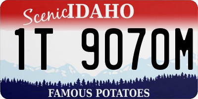 ID license plate 1T9070M