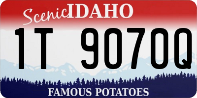 ID license plate 1T9070Q