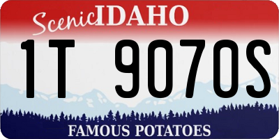 ID license plate 1T9070S
