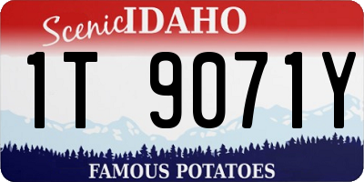 ID license plate 1T9071Y