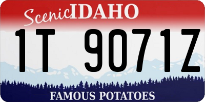 ID license plate 1T9071Z