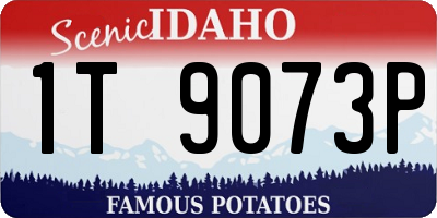 ID license plate 1T9073P