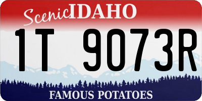 ID license plate 1T9073R