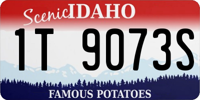 ID license plate 1T9073S