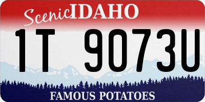 ID license plate 1T9073U