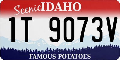 ID license plate 1T9073V