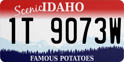 ID license plate 1T9073W