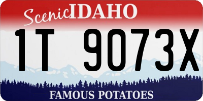 ID license plate 1T9073X