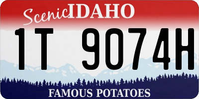 ID license plate 1T9074H