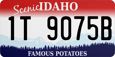 ID license plate 1T9075B