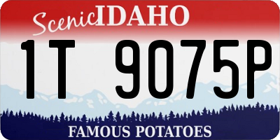 ID license plate 1T9075P