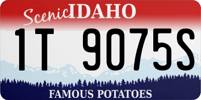 ID license plate 1T9075S