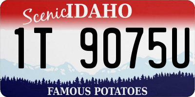 ID license plate 1T9075U