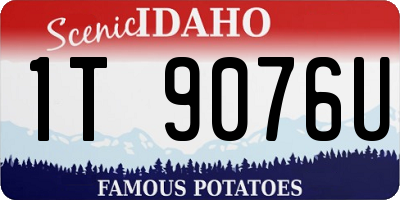 ID license plate 1T9076U