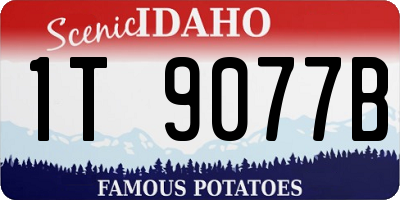 ID license plate 1T9077B