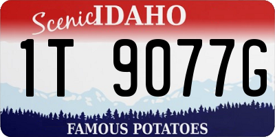 ID license plate 1T9077G