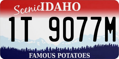 ID license plate 1T9077M