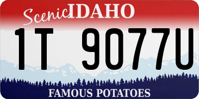 ID license plate 1T9077U