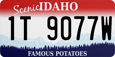 ID license plate 1T9077W