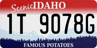 ID license plate 1T9078G