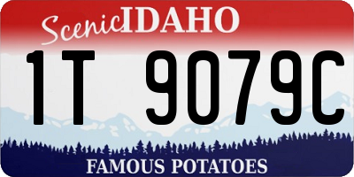 ID license plate 1T9079C