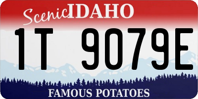 ID license plate 1T9079E