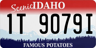 ID license plate 1T9079I