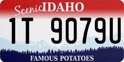 ID license plate 1T9079U