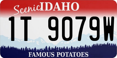 ID license plate 1T9079W