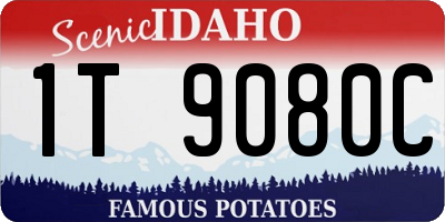 ID license plate 1T9080C