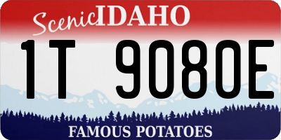 ID license plate 1T9080E