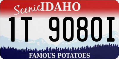 ID license plate 1T9080I