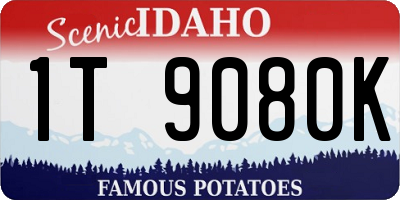 ID license plate 1T9080K